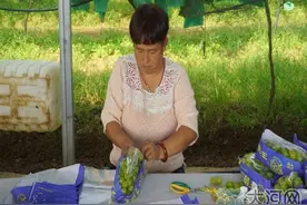 河南叶县：“阳光玫瑰”甜蜜上市 集体经济“遍地结果”图片