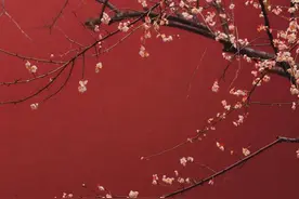 看了浙大博士的照片，才相信古人没有骗我们图片