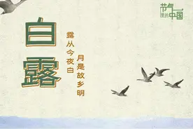 节气里的中国丨白露：露华秋浓盼丰收图片