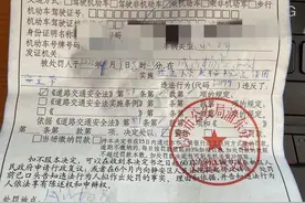 上海交警：乘车坐后排不系安全带要开罚单了图片