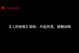 「人民映像」邹彬：手起砖落，精雕细琢图片