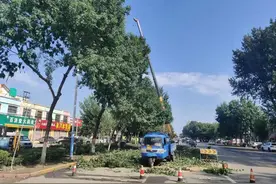 听鉴滕州｜洪绪镇平行南路路域提升整治工程如火如荼开展图片