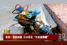 日本研发可在极端环境下作业的半机械蟑螂，网友：窒息！不如别救我......图片