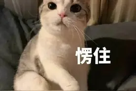 真·过了“白雪公主”的瘾！市民迪士尼小镇捡蘑菇吃，果然……中毒了图片