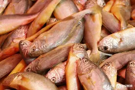 实探：中秋节前夕北村早市海鲜蔬果品类齐全 最新价格也来了图片