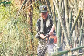 “退伍季”特别策划丨军营里的“最后一次”图片