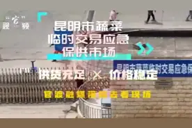 王旗营休市，临时批发点能保障昆明蔬菜供应吗？开屏新闻展开走访……图片