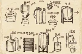 关于啤酒的知识，看这一文就够了图片