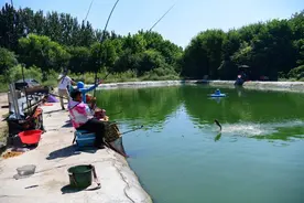 一边如沐春风，一边天寒地冻，潍坊钓鱼经济出现两极化图片