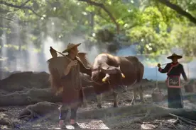 被照片改变的小城霞浦图片