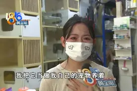 比熊长成“串串”“八戒”看走眼？图片