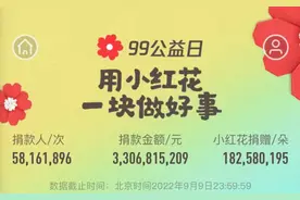 99公益日收官，小红花捐赠超1.82亿朵创新高图片