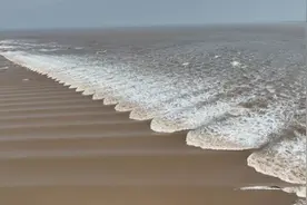 钱塘江丨临风而立观大潮图片