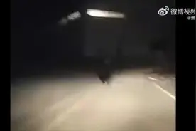 注意！黑龙江伊春拍到野生黑熊出没 公安等部门已采取措施图片