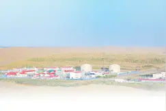 沙海中的一片片新绿图片