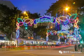 中国阿姨来新打工遭辞退，还拒绝登机；老板：“冤种竟是我自己！”图片