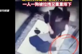 吓人！狗绳被电梯门夹住，女子试图拉绳被带到半空……图片