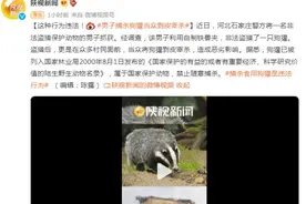 这种行为违法！河北一男子捕杀狗獾当众剥皮宰杀图片