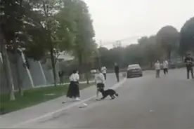 3岁男童路遇烈犬挣脱狗绳撕咬，多处受伤：晚上说梦话“狗狗不要咬我”，警方介入图片