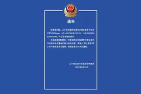 权威发布 | 因系统升级，交管12123相关业务暂停，涉及所有辽宁车主，速看！图片