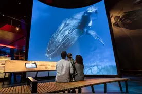 20年以来最大重建项目 澳洲国家博物馆开设两个新画廊图片