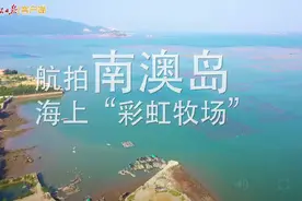 广东南澳，这里有片七彩海图片