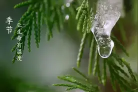 “让财富有温度！”中信银行品牌焕新升级图片