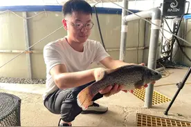 高品质水产，在崇明这样养殖图片