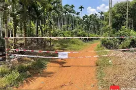 新海南追踪 | 海口被蜂蜇男子已做3次血液透析 目前状态好转图片