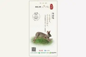 秘境之眼·人类之友 日历 | 华南兔：我是野兔，不是家兔祖先图片