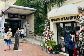 浦江观察｜是橱窗也是“画框”，设计之美在城市街头巷尾图片