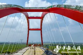 安徽庐江：无岳高速兆河特大桥全力推进图片