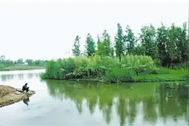 沙颍河，温暖的河图片