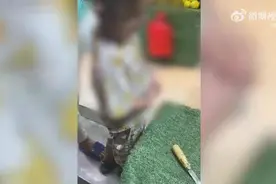 4岁男孩调皮把店铺香蕉割坏 母亲买下坏果对孩子说：给叔叔道歉图片