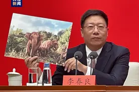 亚洲象宝宝近况如何？官方回应：很健康，体重达300公斤图片