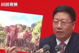 “北移南归”的亚洲象宝宝怎样了？国家林草局副局长带来最新消息丨视频图片