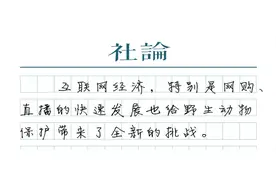 “大白鲨”岂能当美食图片