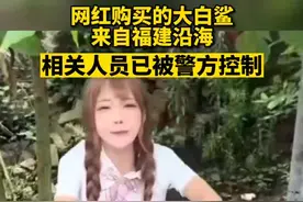 捕售大白鲨的两人被批捕，网友：烹食的女网红该当何罪图片