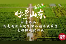 果然视频·好景山东｜济南黄河岸边水稻丰收在望，色彩斑斓美如画图片