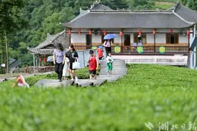 「精彩十年」宣恩：呵护绿水青山 描绘生态画卷图片