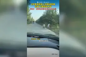 熊孩子不想上学跑进树林 全家上演“野外追逐战”图片