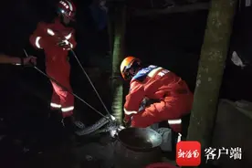 吓人！20余斤蟒蛇潜入定安一农家“吃鸡”图片