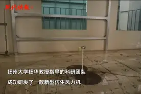 模仿鸟类翅膀，扬大科研团队研发新型仿生风力机图片