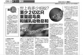 编译 世上有多少蚂蚁？至少2亿亿只 重量超鸟类和哺乳动物总和图片