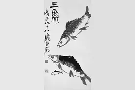 漫话大马哈鱼和三文鱼图片