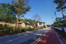 木洞镇：精细化提升农村人居环境展现“她力量”图片