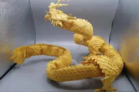 187天，折一条龙！昆明这个学生手工技能点满了图片