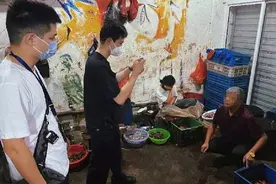 1万余只中华大蟾蜍被解救放归，查获时另有13万只已被加工图片