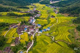 丰收“福”景｜福建光泽：稻花香里说丰年 景美如画图片