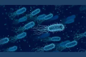 新书推荐丨《实用医学细菌分类与临床应用手册》图片